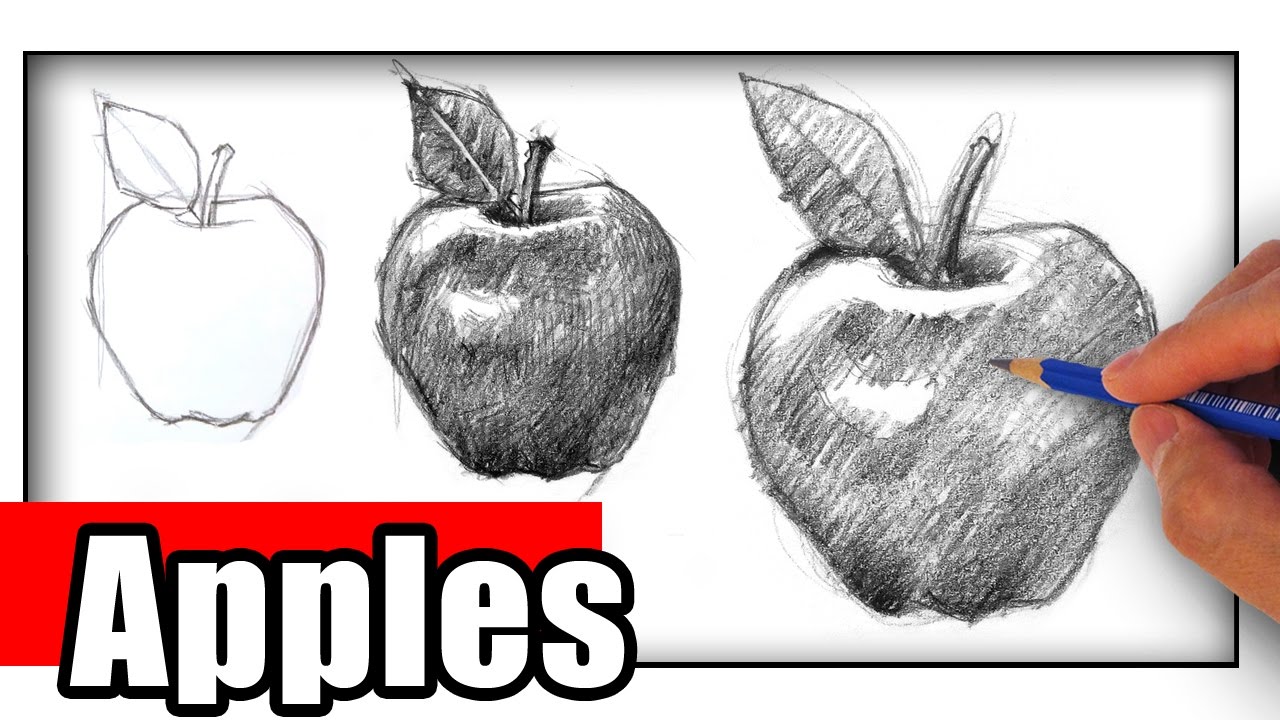 How to draw apple with pencil shading | Apple drawing for beginners | By  Zakria Arshaad StudioFacebook